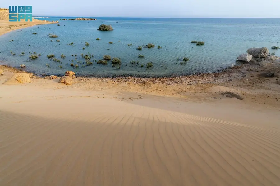Al-Masdoud Beach: Tabuk’s Coastal Paradise Where the Desert Meets the Red Sea
